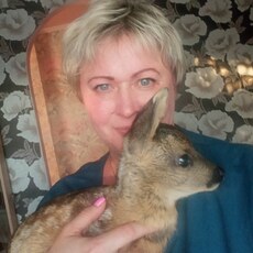 Фотография девушки Елена, 52 года из г. Липецк