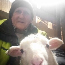 Фотография мужчины Вячеслав, 60 лет из г. Россошь