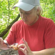 Фотография девушки Радмира, 50 лет из г. Единцы