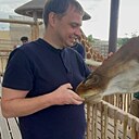 Денис, 36 лет