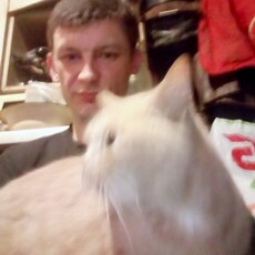 Фотография мужчины Артем, 38 лет из г. Черноморск