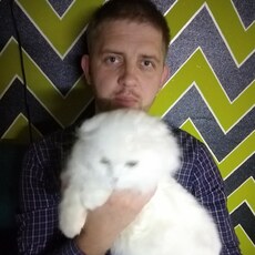 Фотография мужчины Серж, 38 лет из г. Витебск