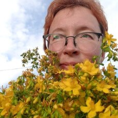 Фотография девушки Валерия, 53 года из г. Владимир