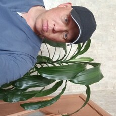 Фотография мужчины Максим, 38 лет из г. Шимановск