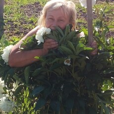 Фотография девушки Светлана, 51 год из г. Нижний Новгород