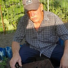 Фотография мужчины Андрей, 61 год из г. Калининград