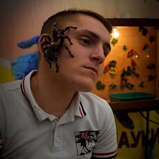 Фотография мужчины Алекс, 31 год из г. Чернушка