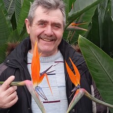 Фотография мужчины Василий, 64 года из г. Волжский