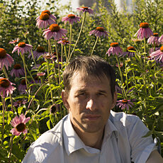 Фотография мужчины Александр, 45 лет из г. Казань