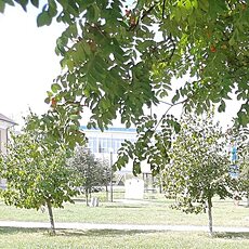 Фотография мужчины Кирилл, 49 лет из г. Москва