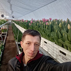 Фотография мужчины Евгений, 43 года из г. Подольск