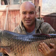 Фотография мужчины Александр, 47 лет из г. Новочеркасск