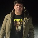 Волк, 37 лет