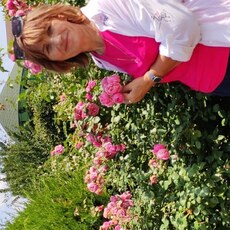 Фотография девушки Раиса, 62 года из г. Ставрополь