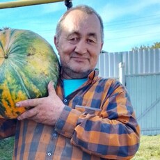 Фотография мужчины Валерий, 62 года из г. Аликово