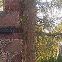 Дмитрий, 58 лет