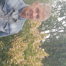 Фотография мужчины Сергей, 65 лет из г. Новокузнецк