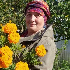 Фотография девушки Ника, 63 года из г. Пермь