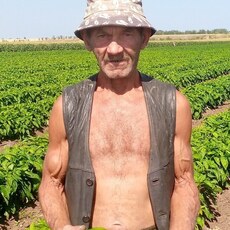 Фотография мужчины Владимир, 64 года из г. Саратов