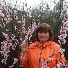 Фотография девушки Светлана, 68 лет из г. Сочи