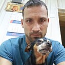 Алексей, 37 лет