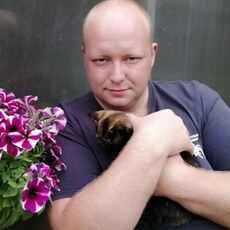 Фотография мужчины Александр, 34 года из г. Ярославль