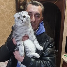 Фотография мужчины Andrei, 51 год из г. Балашиха