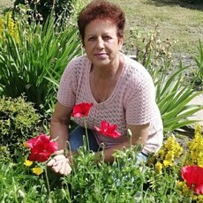 Фотография девушки Нина, 67 лет из г. Нижний Новгород