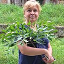 Ирина, 54 года