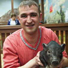 Фотография мужчины Сергей, 42 года из г. Ульяновск