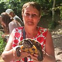Ирина, 64 года