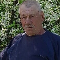 Фотография мужчины Николай, 65 лет из г. Орда